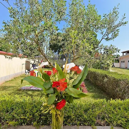 Mit Privatpool Fuer 4 Personen Ca 30 Qm In Pula, Istrien Istrische Riviera Holiday home Pula