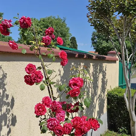 Holiday home Mit Privatpool Fuer 4 Personen Ca 30 Qm In Pula, Istrien Istrische Riviera *